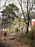 P4180100.JPG