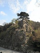 P4180110.JPG