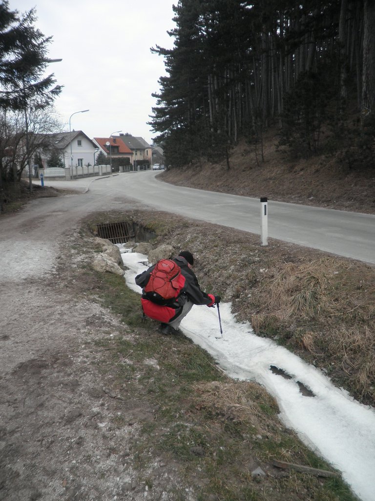 P2260106.JPG