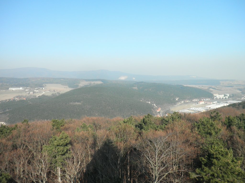 P2260136.JPG