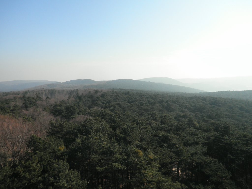 P2260137.JPG