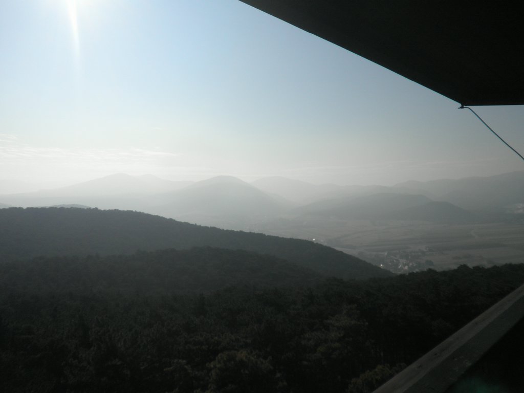 P2260138.JPG