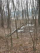 P2260110.JPG