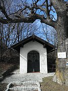 P2260113.JPG