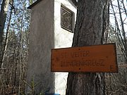 P2260120.JPG