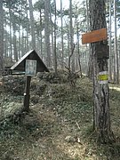 P2260129.JPG