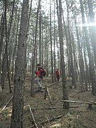 P2260130.JPG