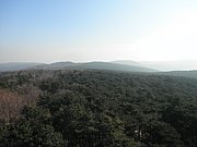 P2260137.JPG