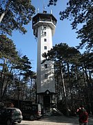 P2260142.JPG