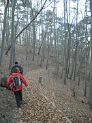 P2260146.JPG