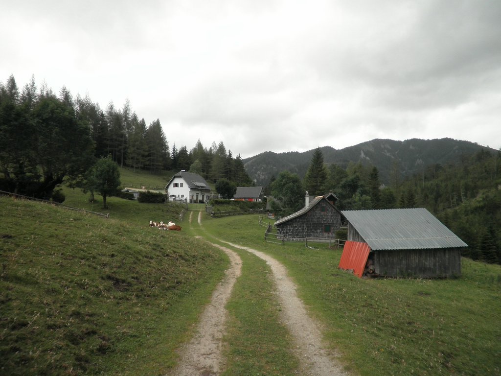 P8070033.JPG