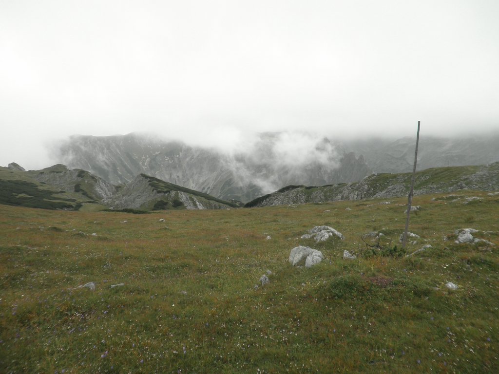 P8070050.JPG