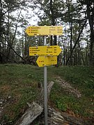 P8070037.JPG