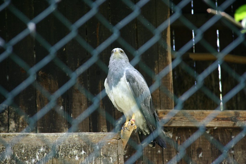 IMG_2888.JPG