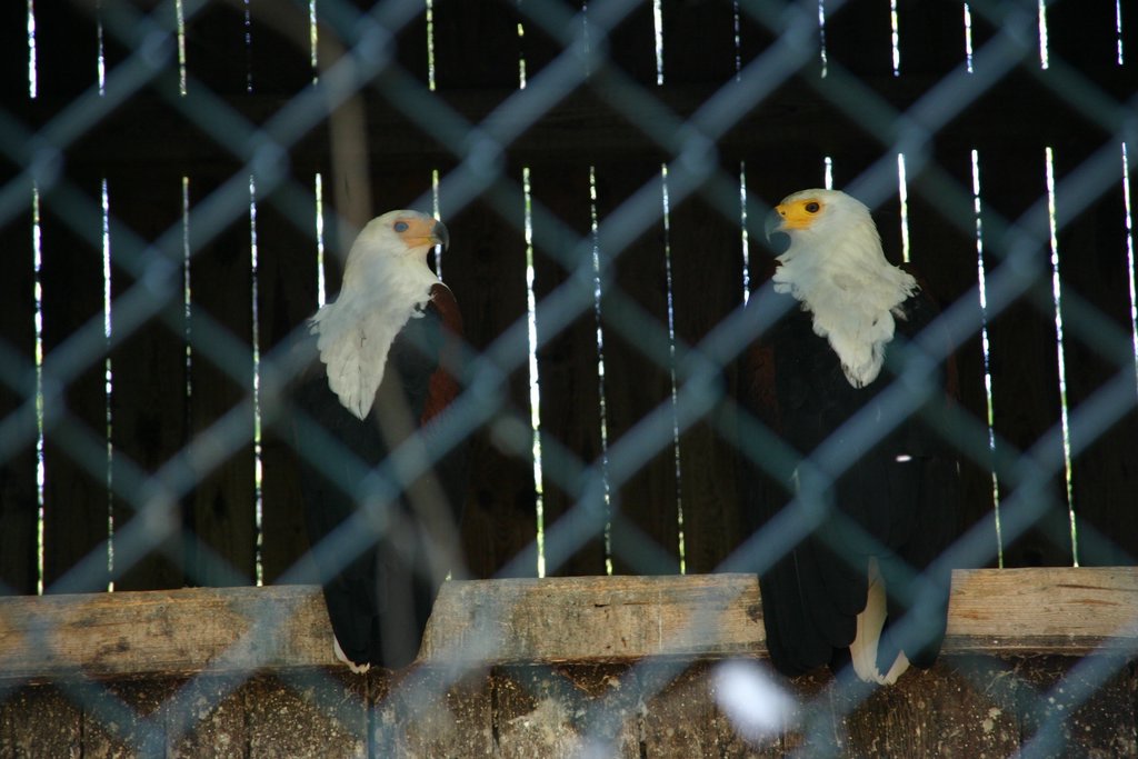 IMG_2891.JPG