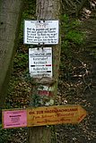 IMG_2862.JPG
