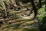 IMG_2872.JPG