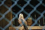 IMG_2879.JPG