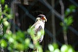 IMG_2883.JPG