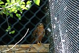 IMG_2886.JPG