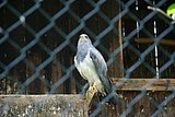 IMG_2888.JPG