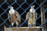 IMG_2896.JPG