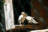 IMG_2897.JPG