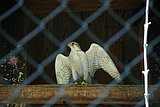 IMG_2909.JPG