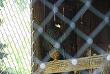 IMG_2911.JPG