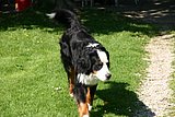 IMG_2946.JPG