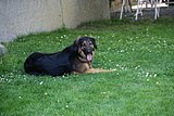 IMG_2961.JPG