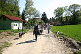 IMG_2971.JPG