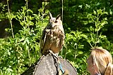 IMG_2977.JPG
