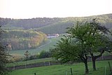 IMG_3042.JPG
