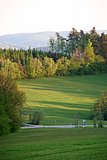 IMG_3044.JPG