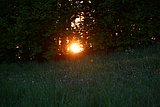 IMG_3057.JPG