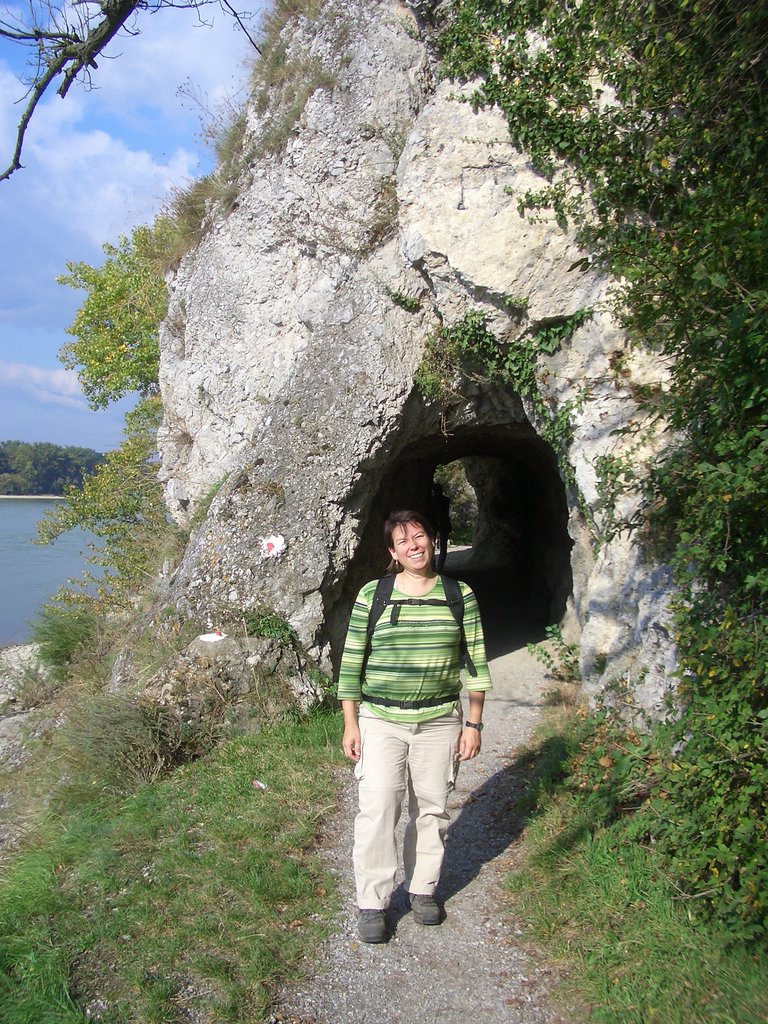 CIMG2483.JPG