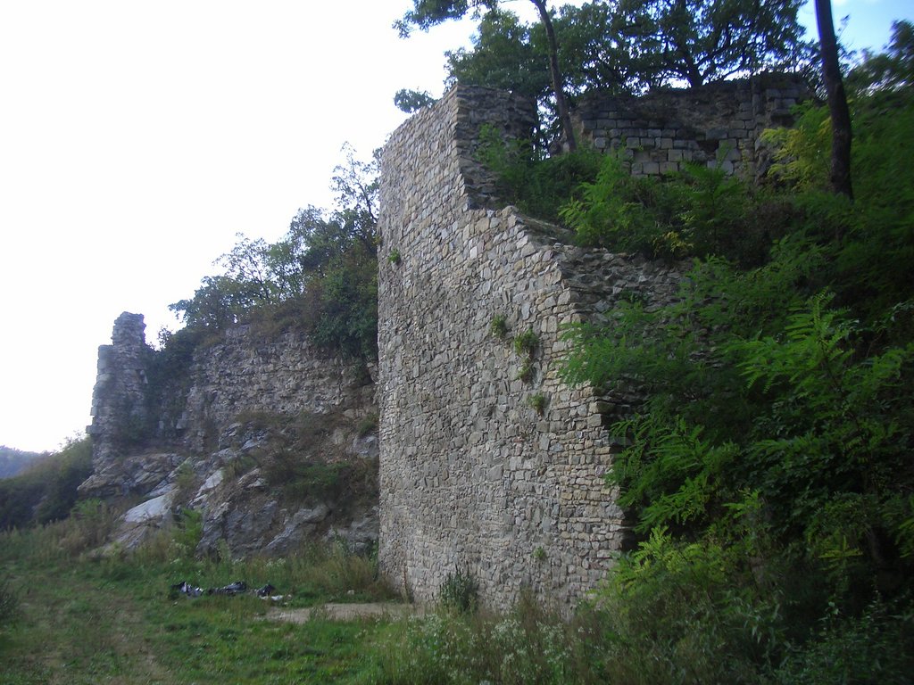 CIMG2484.JPG