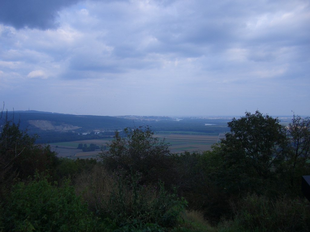 CIMG2508.JPG