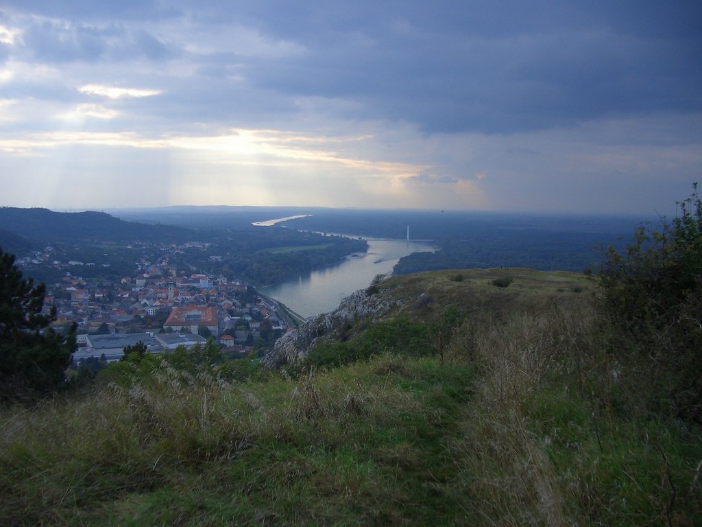 CIMG2509.JPG