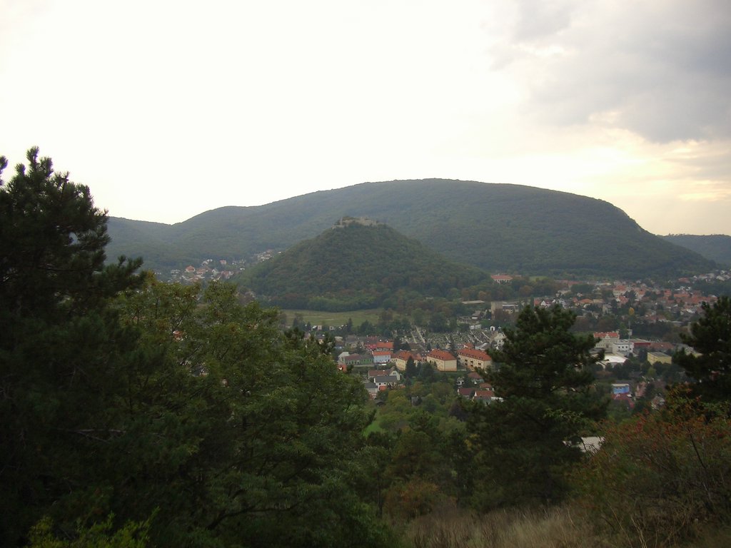 CIMG2512.JPG