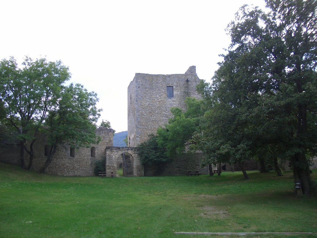CIMG2521.JPG