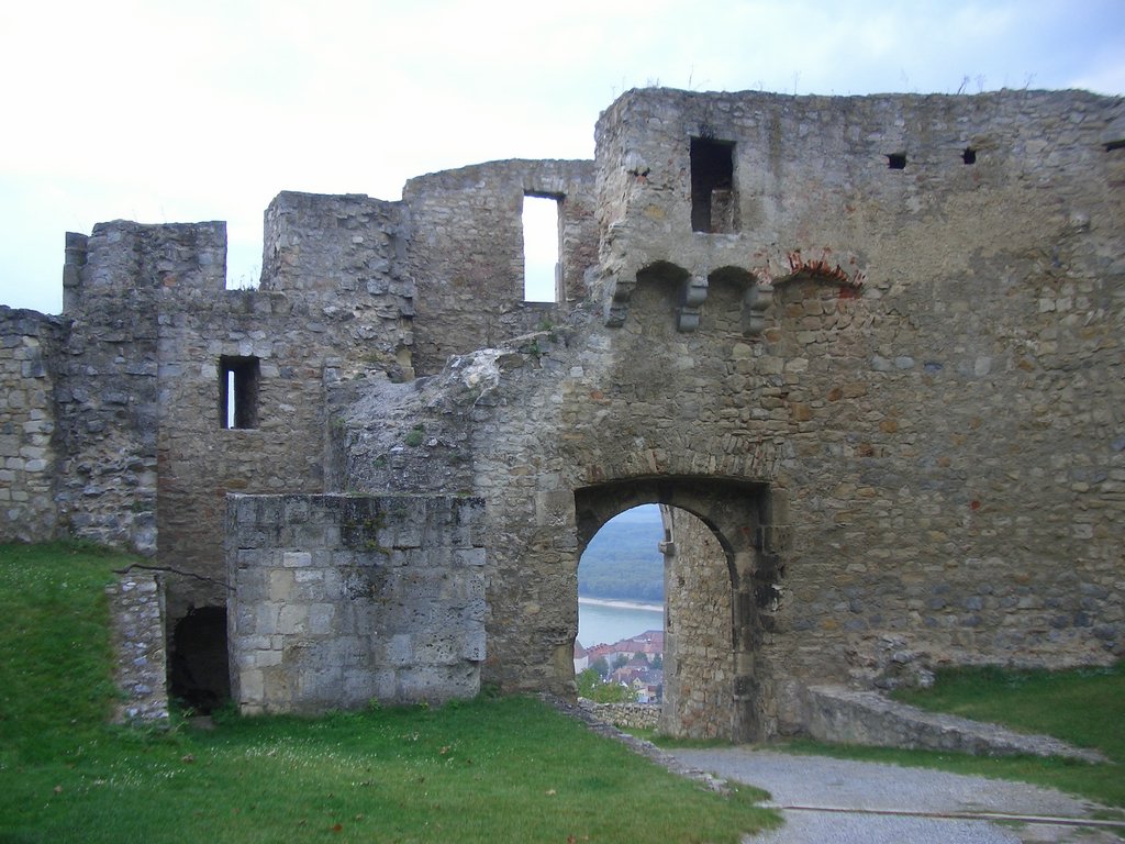 CIMG2522.JPG