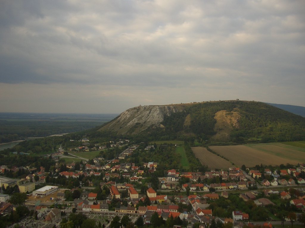 CIMG2527.JPG