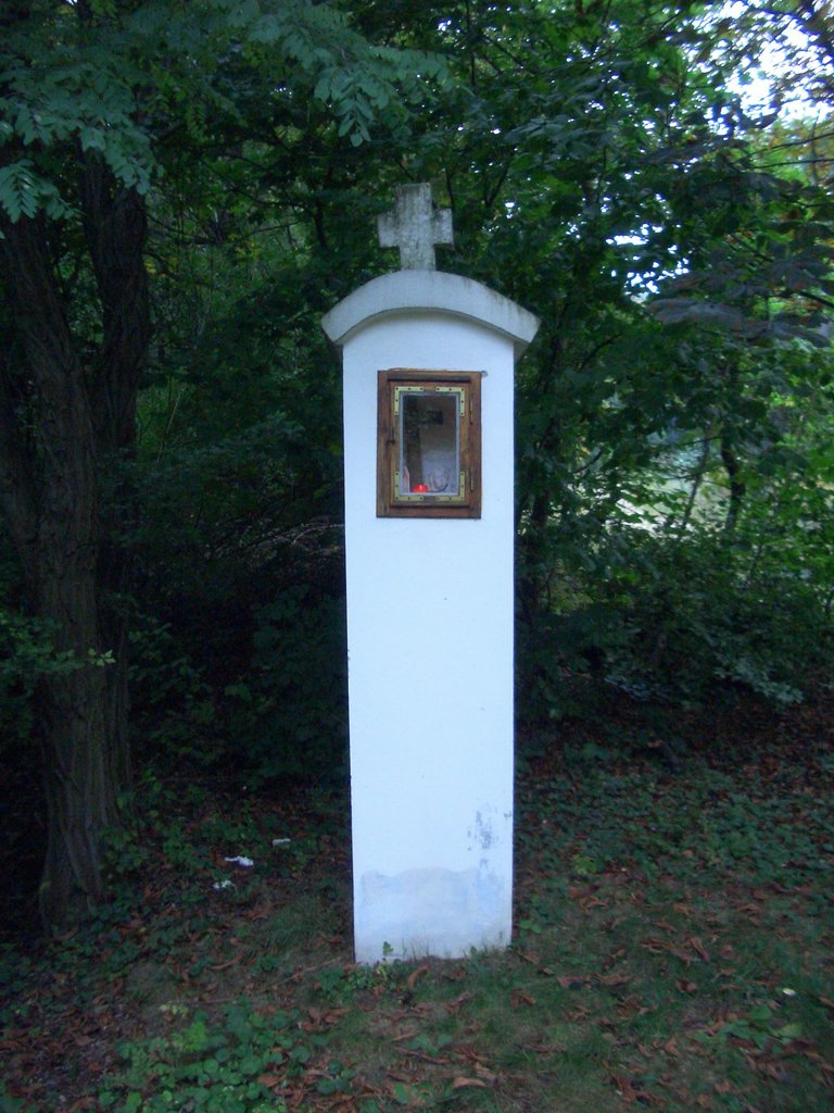CIMG2537.JPG
