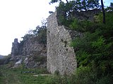 CIMG2484.JPG