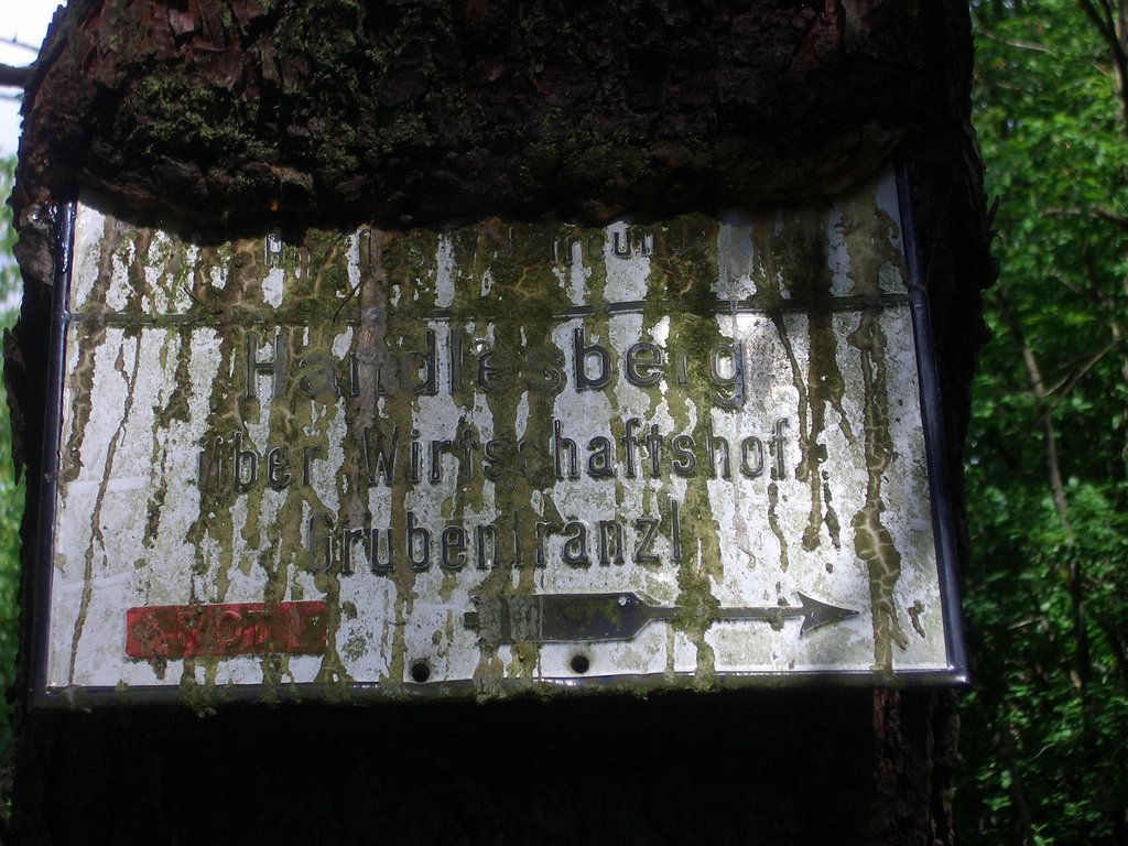CIMG5233.JPG