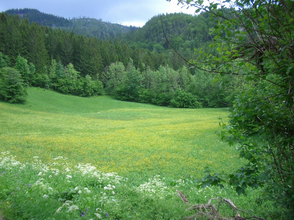 CIMG5253.JPG