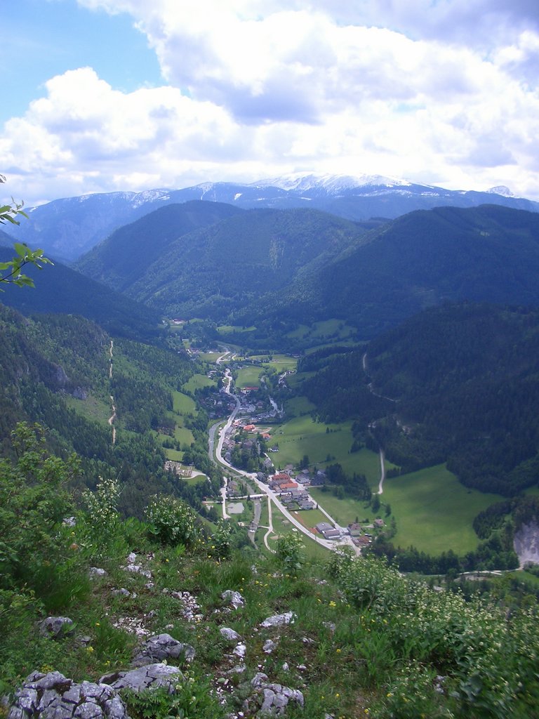 CIMG5260.JPG
