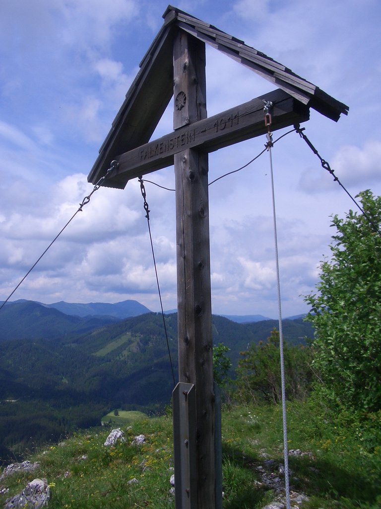 CIMG5264.JPG
